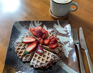 Q’s Vegan Chocolate Protein Waffles